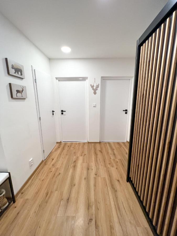 Apartman Visek Jáchymov Exterior foto