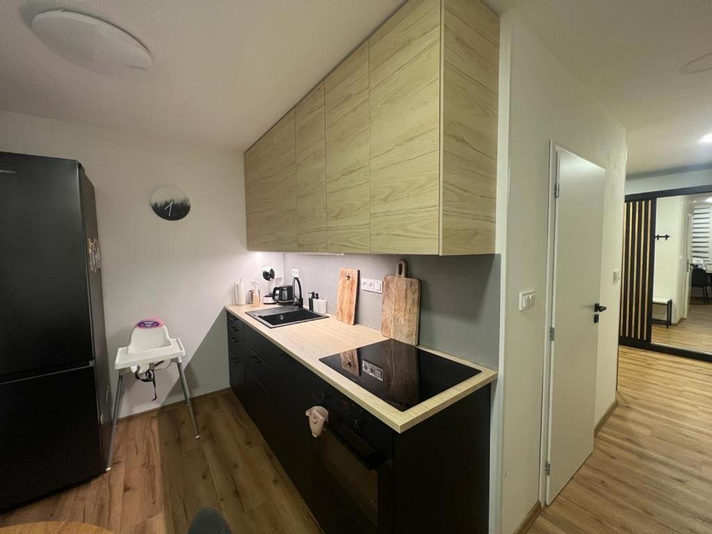 Apartman Visek Jáchymov Exterior foto